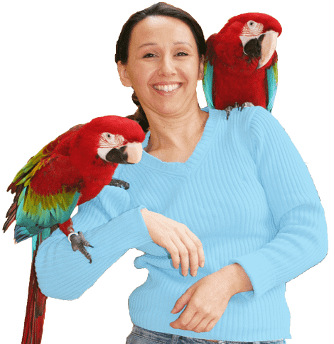 Selbstständige Expertin für Papageien Ann Castro Selbstständige Expertin für Papageien Ann Castro